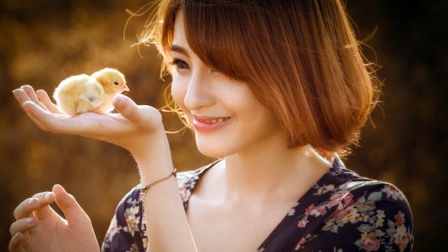 锁阳三种人不宜吃(锁阳茶的作用是什么？)