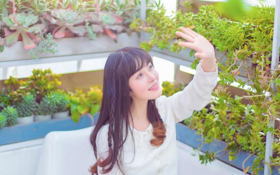 雪菊一次泡多少朵(昆仑雪菊怎么泡？)