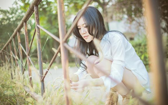 健康蛋糕：低糖、低脂、高纤维，让你吃得健康又美味