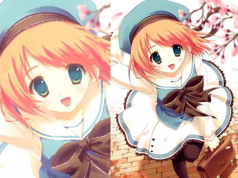 草莓熊哪里能买到正版(草莓熊故事？)