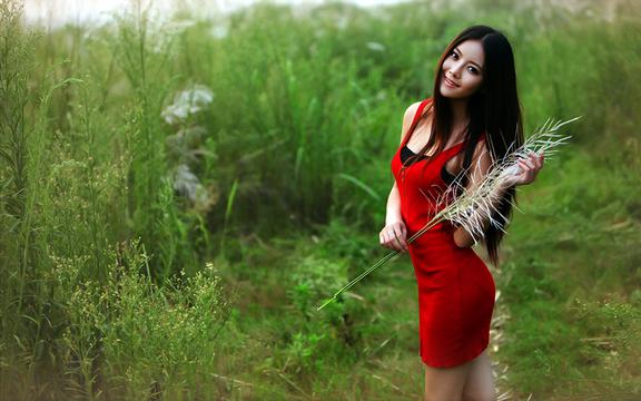辽宁丹东草莓多少钱一斤(老马岗草莓和丹东九九哪个好)