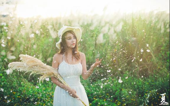 巧克力是可可脂好还是代可可脂好(可可脂和代可可脂区别大吗？–960化工网问答)