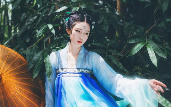 东北高产玉米种子排行榜(农大玉米种子排名？)