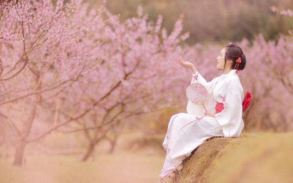 红掌花怎么养家庭养法(红掌怎么养家庭养法)