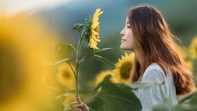 新手如何养鸽子(新手养殖鸽子注意哪些问题新手养殖鸽子注意哪些问题视频)