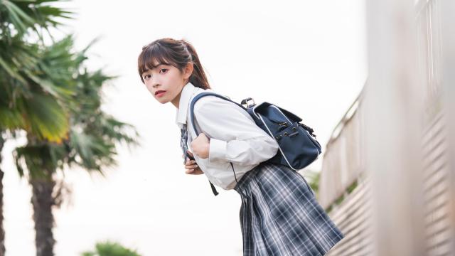 蒲公英泡水喝能散结节吗(女人喝蒲公英水的作用)