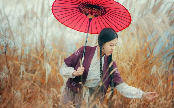 地龙用量一般多少克(地龙的用量)