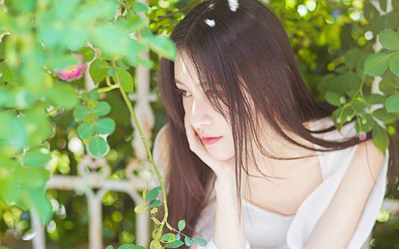 银耳属于凉性还是热性(银耳是凉性还是热性的银耳属于凉性还是热性的食物呢)