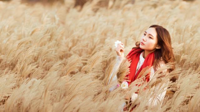 简单易学，牛百叶美味料理