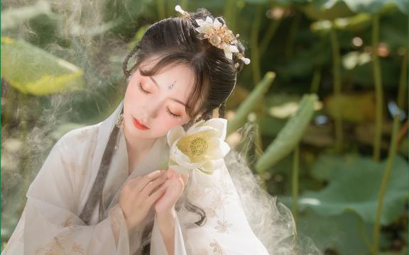 做莲子的6种方法——享受不同口感