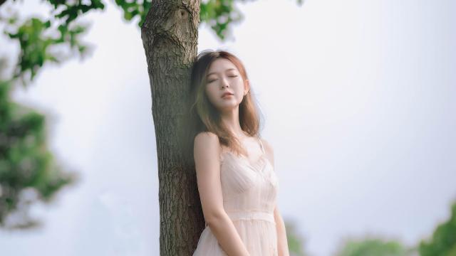 猪蹄汤的做法大全家常做法(滋补猪蹄汤的10种做法)