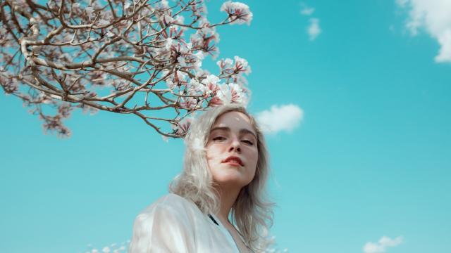 金银花泡水喝的好处(喝金银花茶有什么好处)