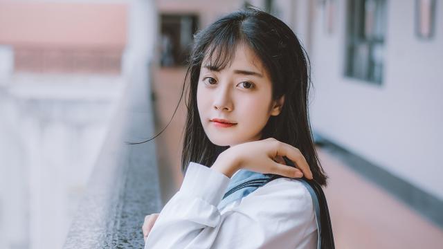 快速冰淇淋蛋糕机，让你在家享受健康美味的甜品！