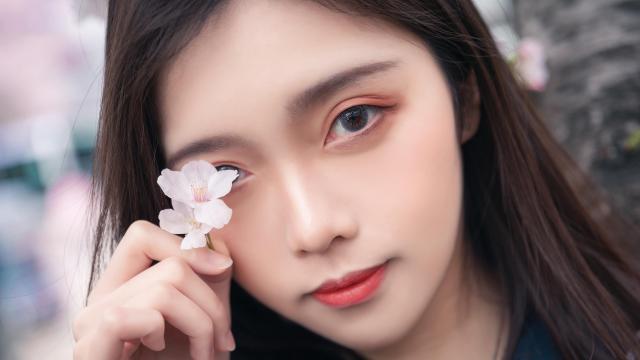 不止是颗菜全部小说(女主冷静淡然的小说)