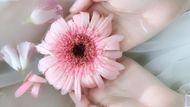 莲子和猪心炖汤能改善睡眠吗？(猪心炖什么药材最好)