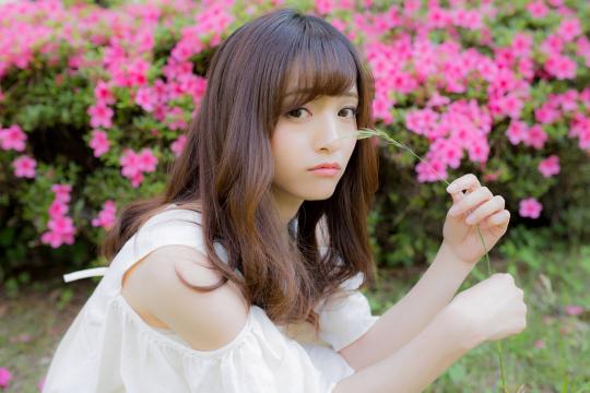 野外寻找野生荠菜攻略